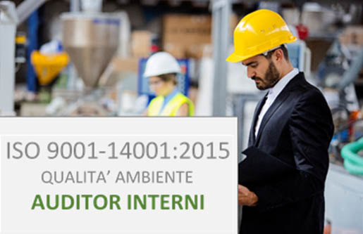 AUDITOR INTERNI ISO 9001-14001.2015 SISTEMI DI GESTIONE QUALITA’ E AMBIENTE.jpg